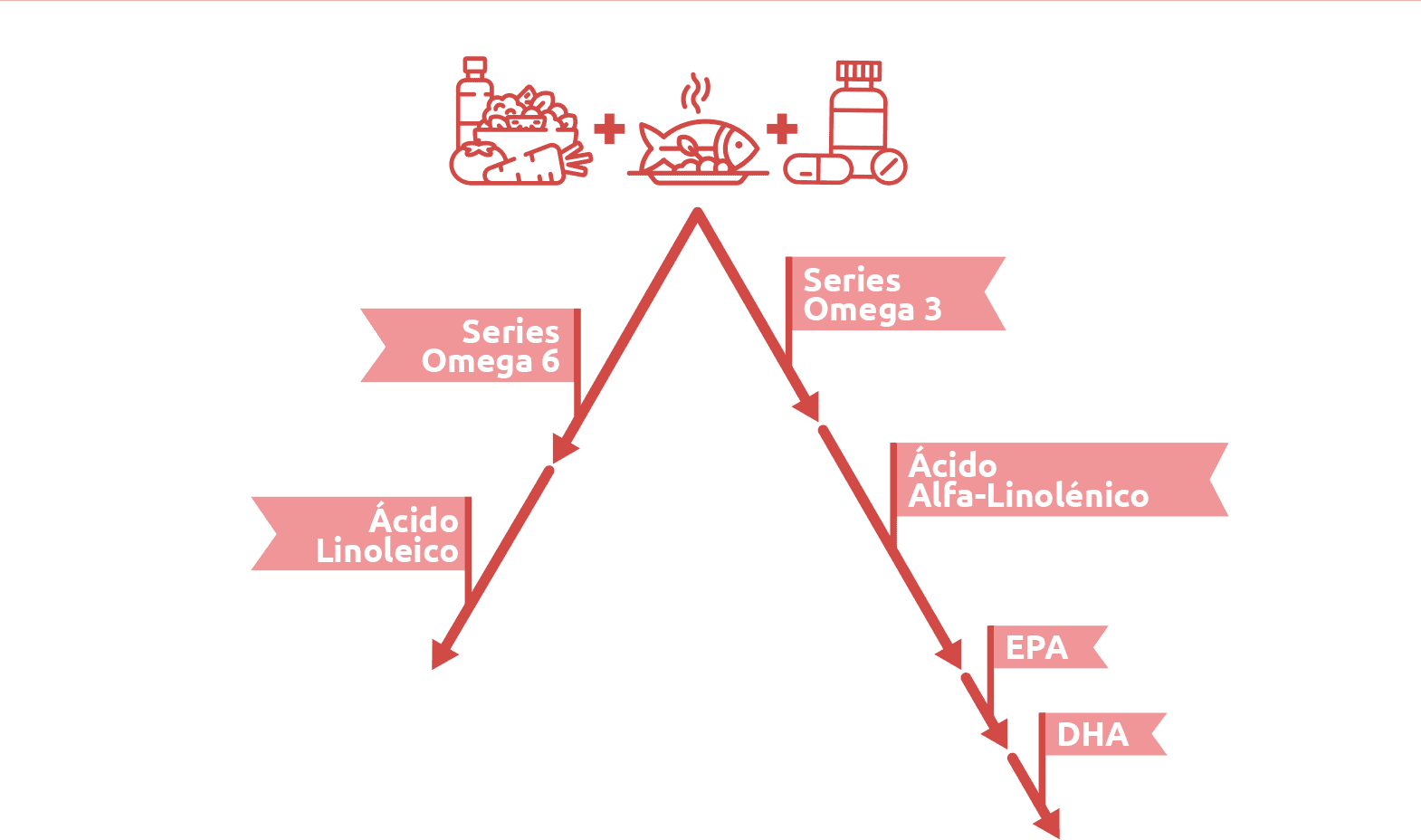 Gráfico Omegas